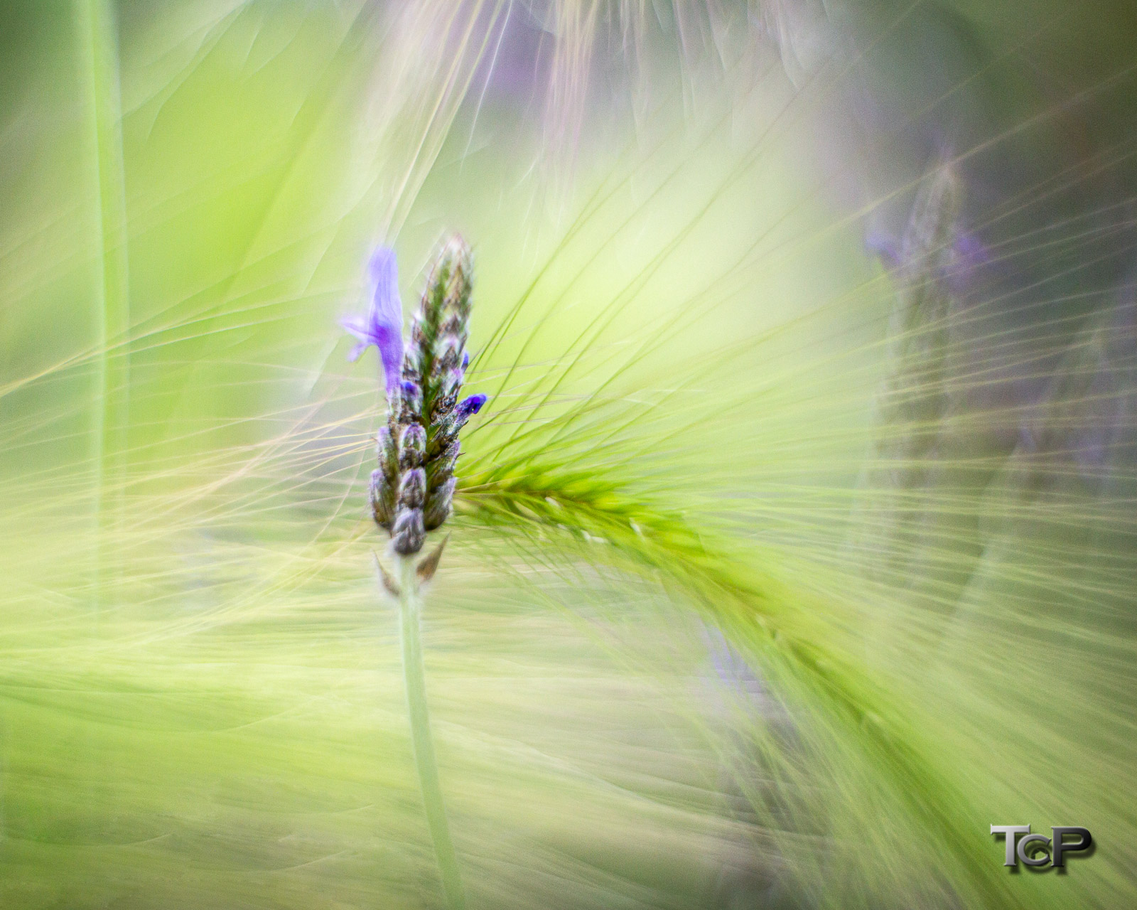 20190730-D501-4848-Redigera